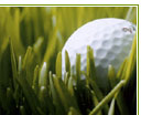 Golf ball